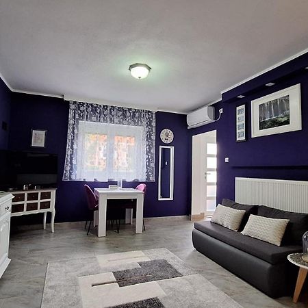 Studio Apartman Marta Korenica Exterior photo
