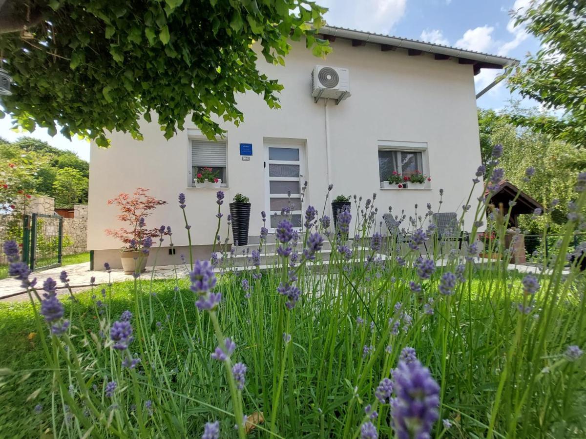 Studio Apartman Marta Korenica Exterior photo